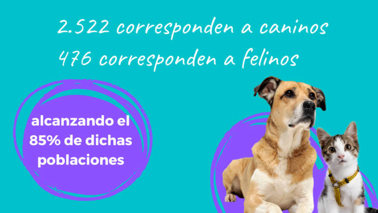 CAMPAÑA DE VACUNACIÓN ANTIRRÁBICA