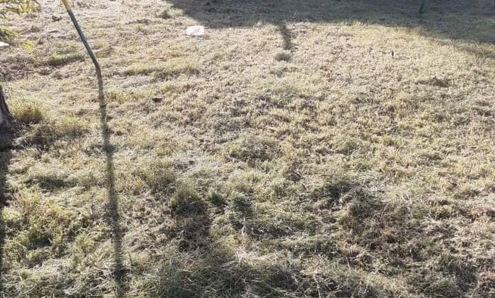 Continúan las reparaciones en escuelas rurales