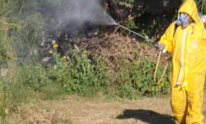 Se activó el protocolo de control de Dengue