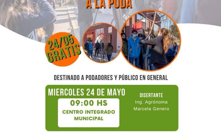 INTRODUCCIÓN A LA PODA DEL ARBOLADO URBANO