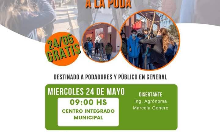 Introducción a la poda del Arbolado Urbano
