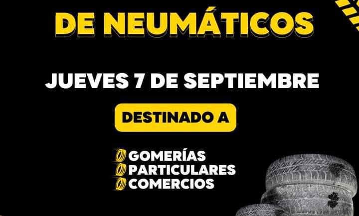 RECOLECCIÓN DIFERENCIADA DE NEUMÁTICOS