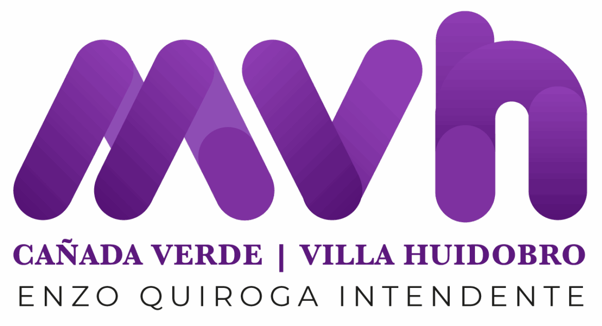 cropped-logoVH_logo-violeta.png