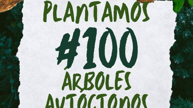 PLANTAMOS #100 ÁRBOLES!