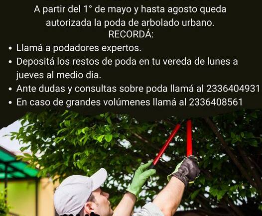 TEMPORADA DE PODA