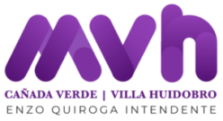 logoVH_logo-violeta-e1724683907783.png