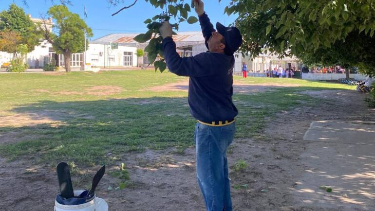 PODA Y PREPARATIVOS PARA EL GRAN FOGÓN EN EL CENTRO EDUCATIVO MANUEL BELGRANO