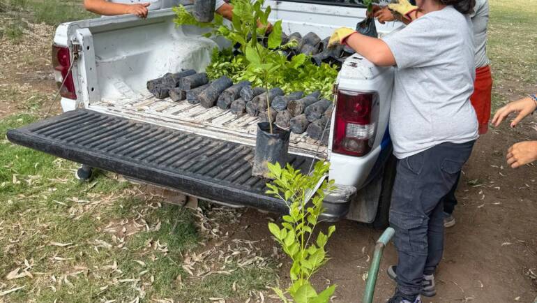 SEGUIMOS IMPULSANDO EL PLAN DE REFORESTACIÓN