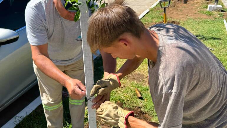 CONTINUAMOS REFORESTANDO NUESTRO CAÑADA VERDE