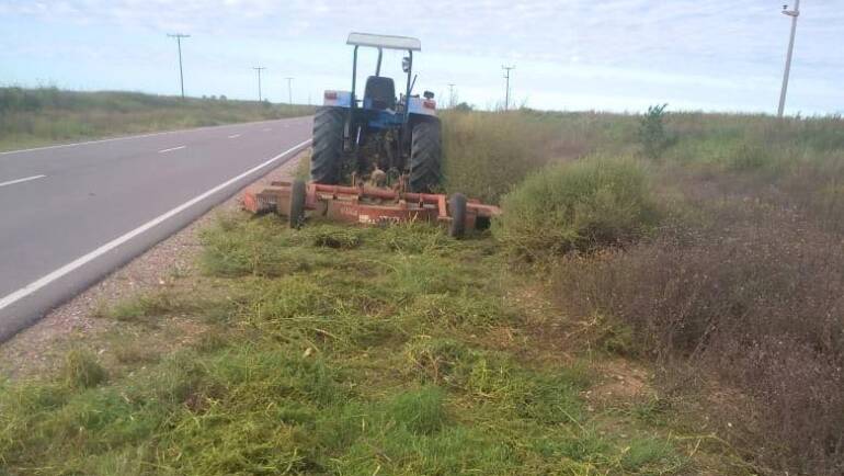 CONTINUAMOS CON LAS TAREAS DE LIMPIEZA Y MANTENIMIENTO