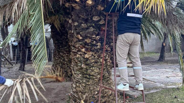 LIMPIEZA Y PODA EN PLAZOLETA VERÓNICA QUIROGA