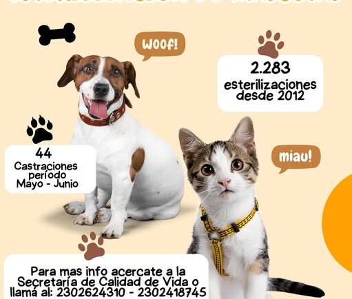 CASTRACIONES Y CUIDADO ANIMAL: UN COMPROMISO SOSTENIDO DEL MUNICIPIO