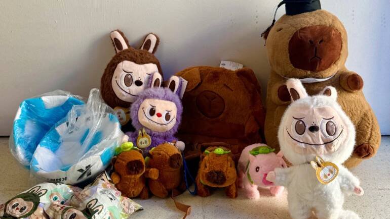 DONACIÓN DE REY REGALOS