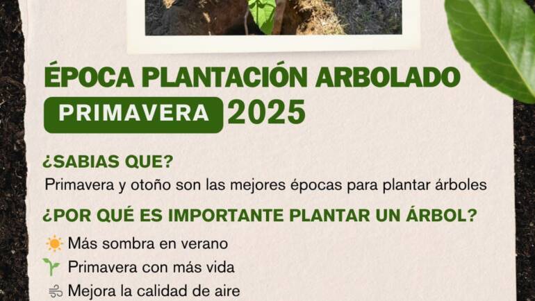 ÉPOCA DE PLANTACIÓN DE ARBOLADO – PRIMAVERA 2025