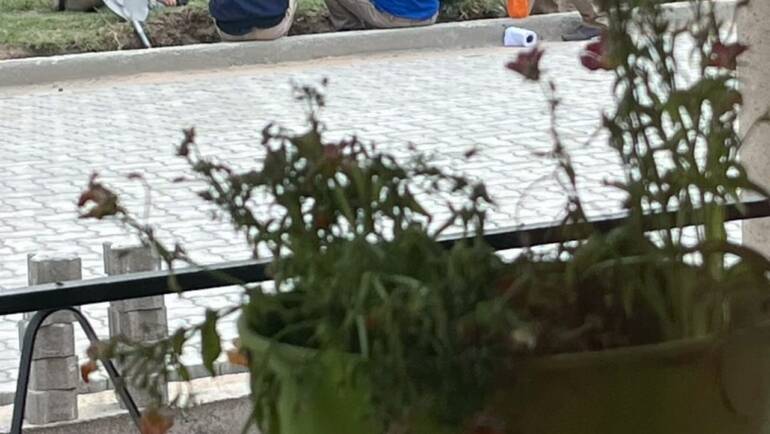 GESTOS QUE NOS ALEGRAN EL DÍA