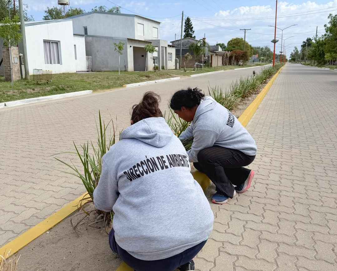 MANTEMIENTO DE NUESTROS ESPACIOS