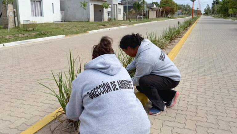 MANTEMIENTO DE NUESTROS ESPACIOS