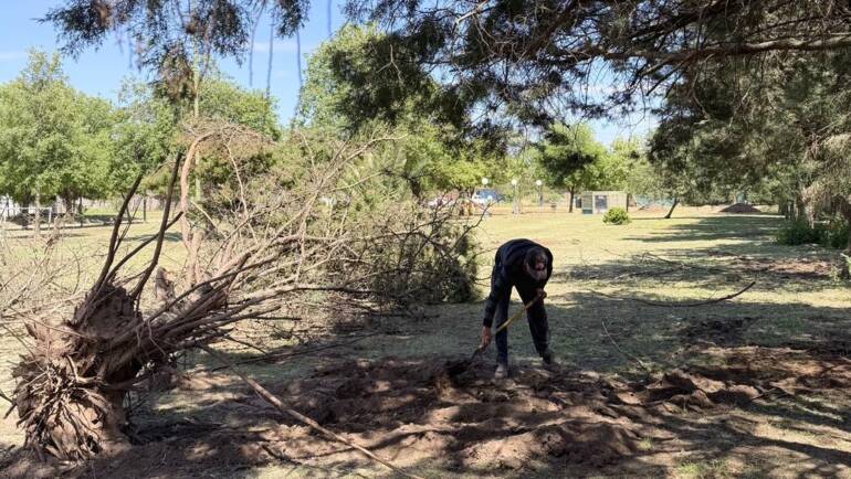 Presupuesto Participativo 2025 — Comenzaron los trabajos en Plaza Mons