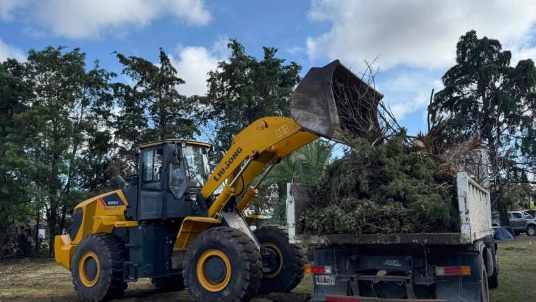 TAREAS DE PODA Y EXTRACCIÓN EN EL MARCO DEL PRESUPUESTO PARTICIPATIVO