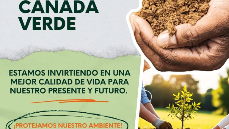 ¡Sumate a reforestar Cañada Verde!
