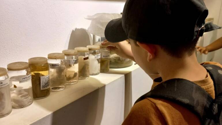 VISITA DE ALUMNOS DE LA ESCUELA SARMIENTO