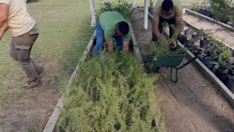 Nuevas especies para nuestro Vivero Municipal