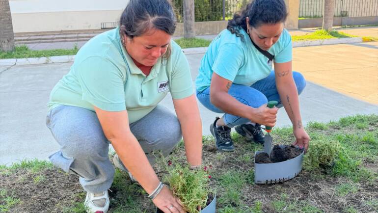 MANTENIMIENTO DE MACETAS COLGANTES DE NUESTRAS AVENIDAS