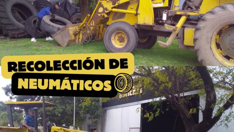 RECOLECCIÓN DIFERENCIADA DE CUBIERTAS