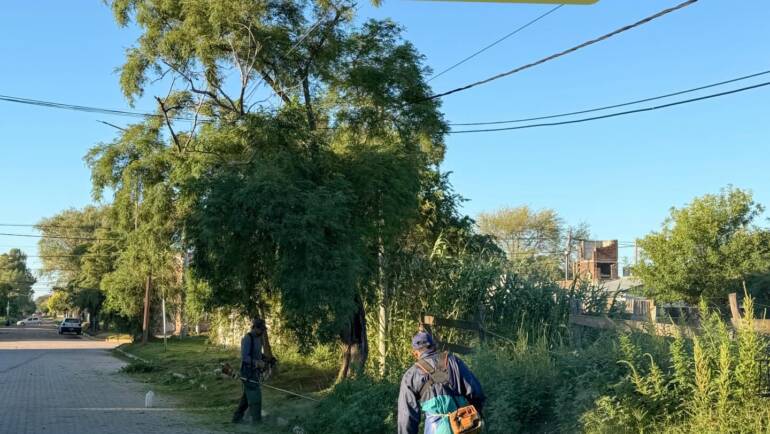 SEGUIMOS TRABAJANDO PARA MEJORAR NUESTROS ESPACIOS