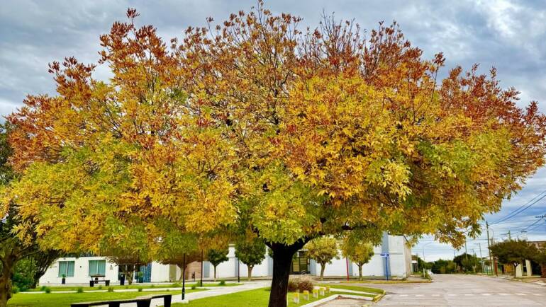 EL OTOÑO YA SE DEJA VER