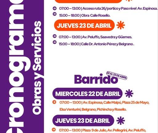 CRONOGRAMA DE LAS TAREAS DE OBRAS Y SERVICIOS