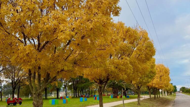 Postales de otoño