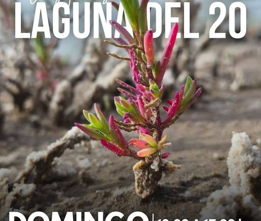 ESTE DOMINGO, LA LAGUNA DEL 20 TE ESPERA