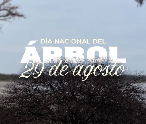 DÍA NACIONAL DEL ÁRBOL
