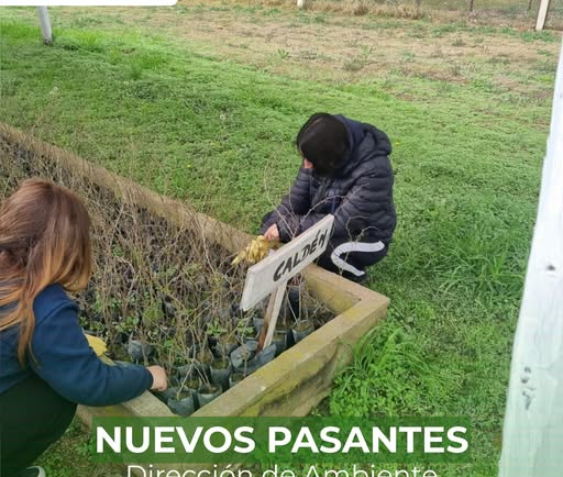NUEVOS PASANTES | DIRECCIÓN DE AMBIENTE