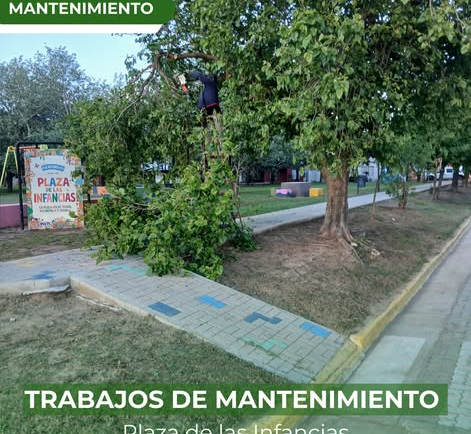 MANTENIMIENTO DE NUESTROS ESPACIOS VERDES